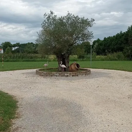 Lägenhet I Vigneti *