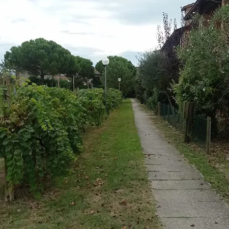 I Vigneti